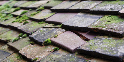 Stoke Goldington roof repair costs